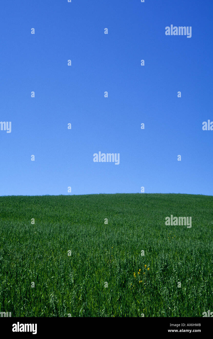 Springtime in the hills of Contra Costa County, California, USA Stock ...