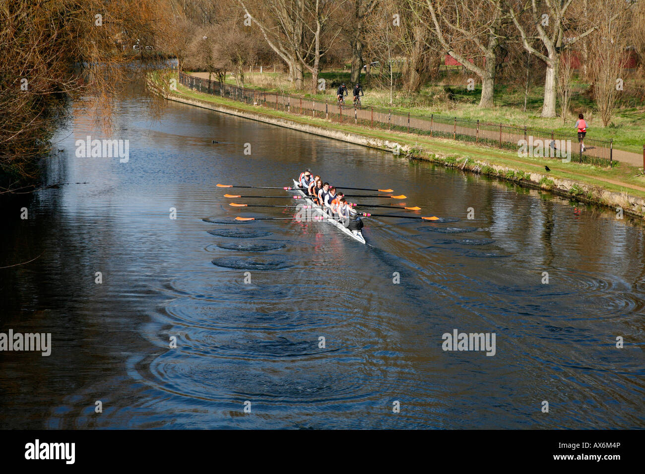 Rowers on the River Lea at Clapton Park, London Stock Photo