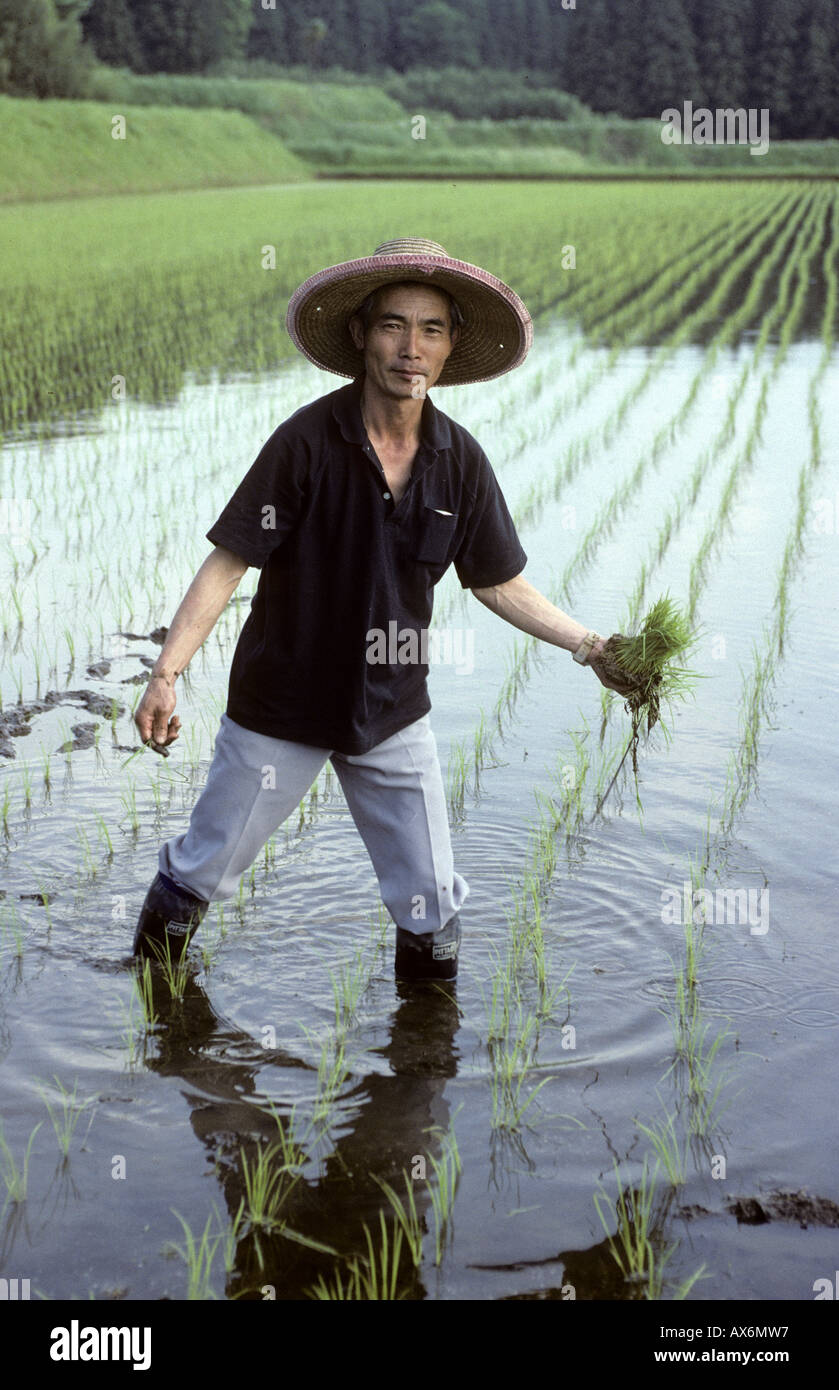 Farmer planting rice Kyushu Japan Stock Photo