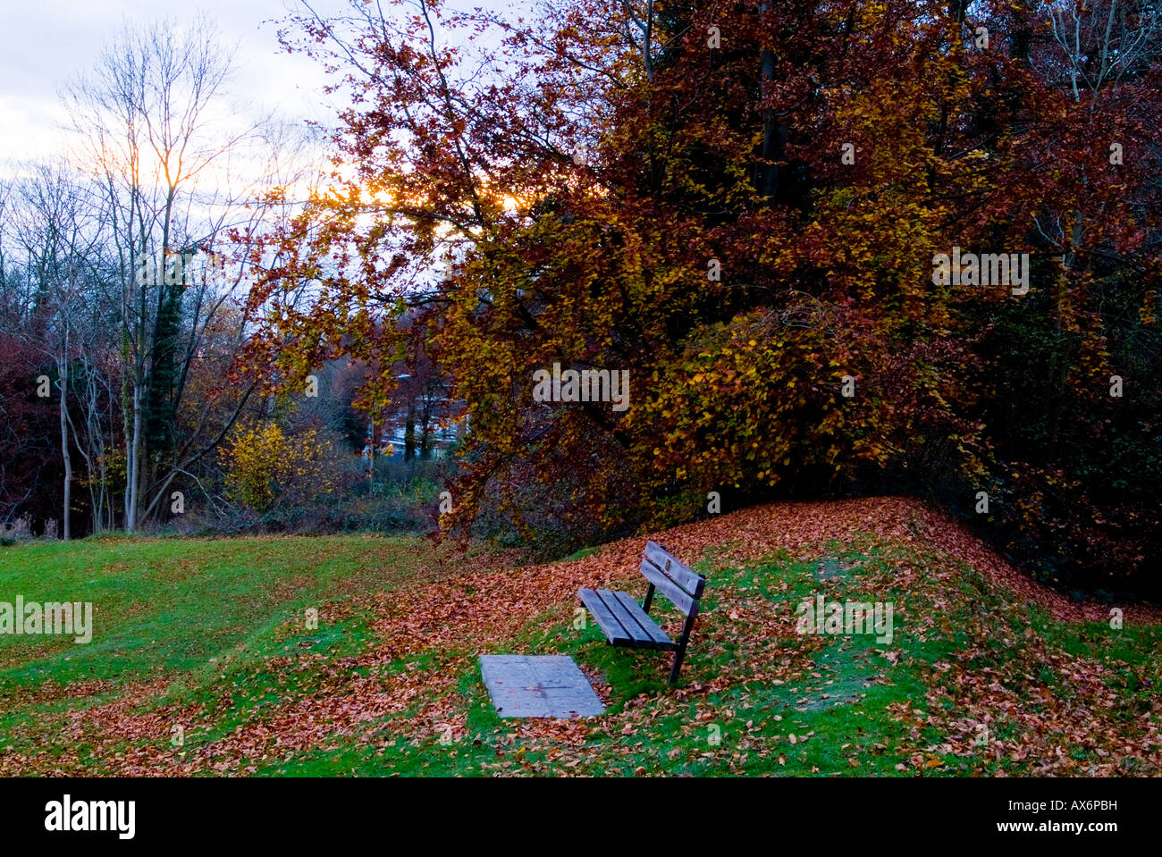 Reigate Hill view point Stock Photo Alamy