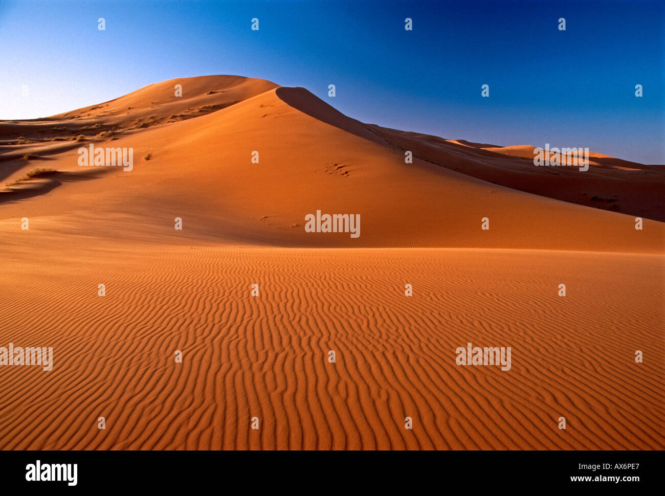 sand dune, sand dunes, Erg Chebbi, Sahara Desert, sunrise, dawn