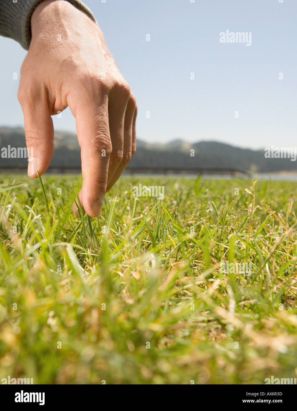 Touching the grass Stock Photo - Alamy