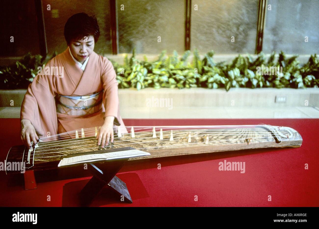 Woman playing koto instrument Kyoto Japan Stock Photo - Alamy