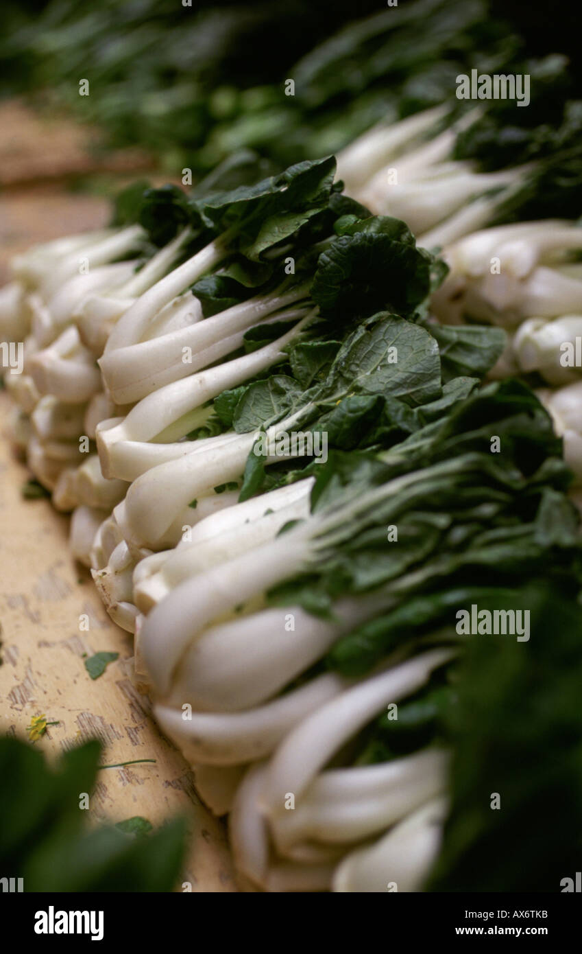 Baby Bok Choi or Choy for sale in a market in Hong Kong Bok Choi is a