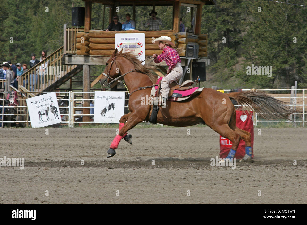 Young girl barrel racing at a rodeo Stock Photo 16748336 Alamy