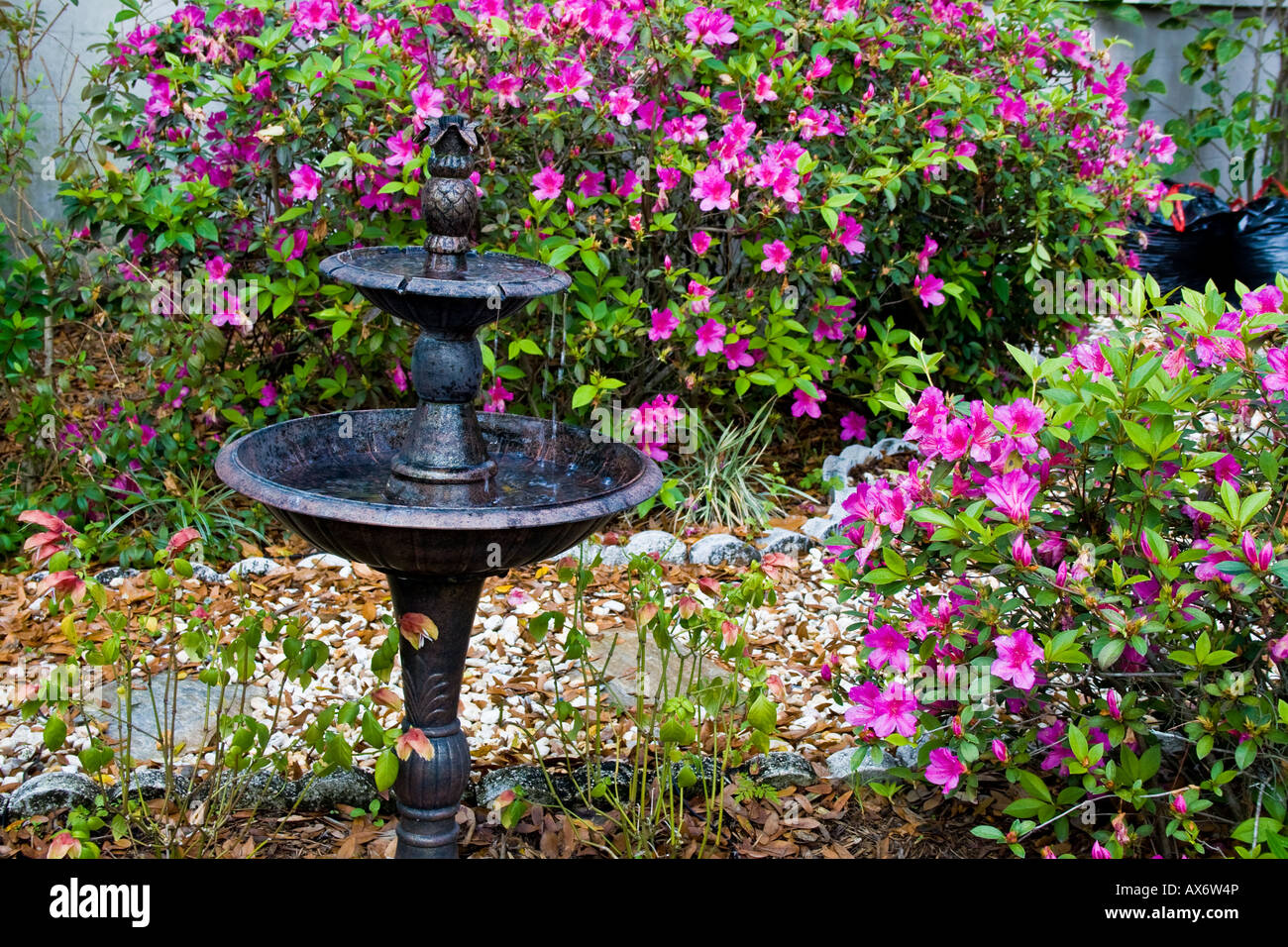 Small water fountain surrounded by pink azaleas. Stock Photo