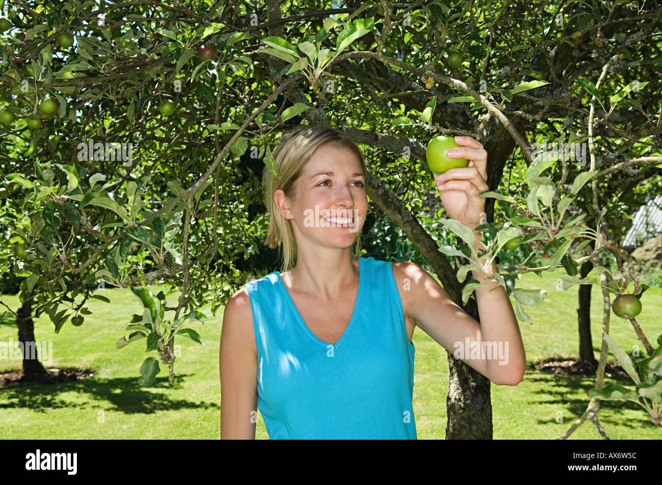Woman picking an apple Stock Photo