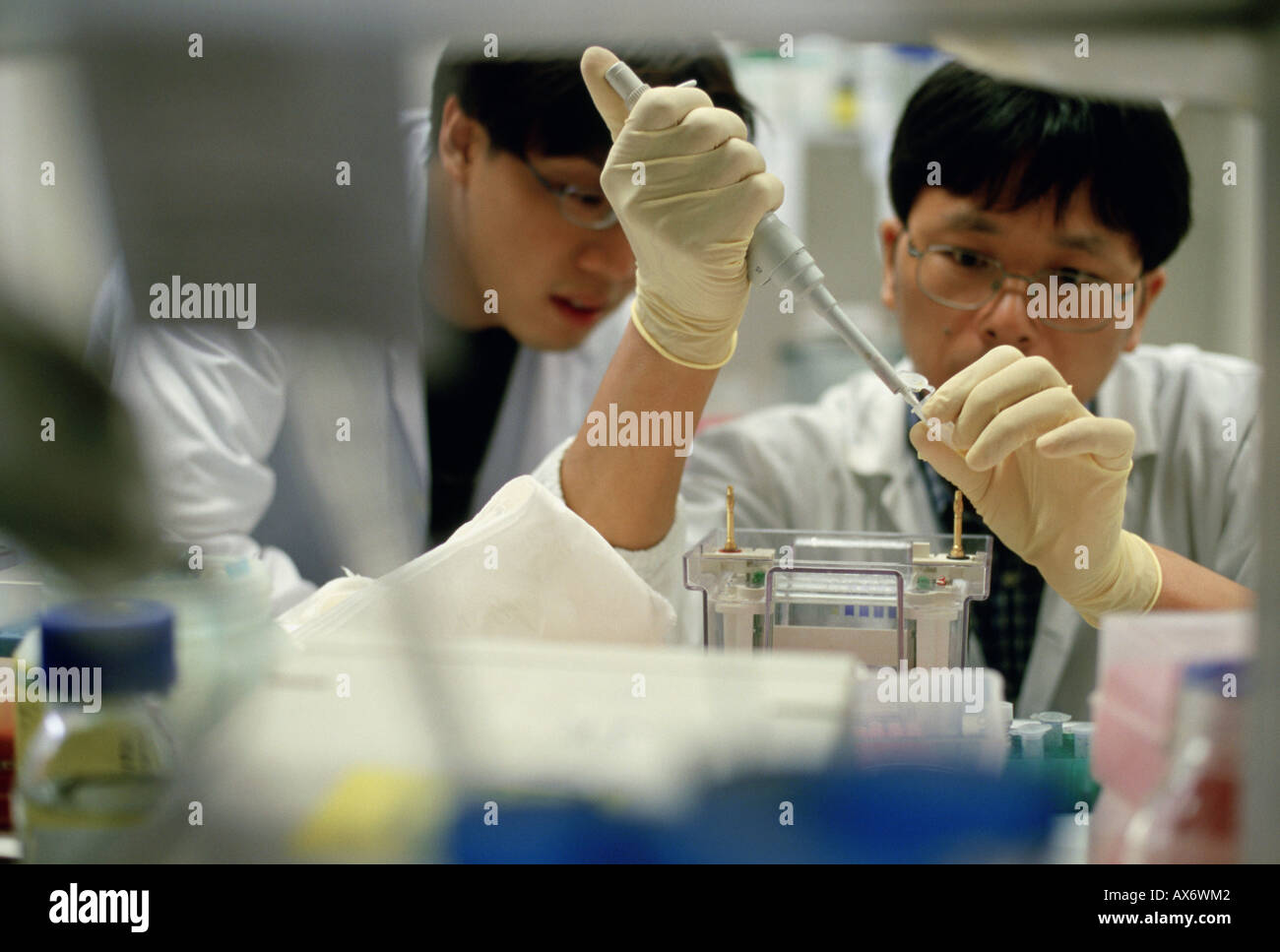 Singaporean Chinese doctors do laboratory work with test tubes at a