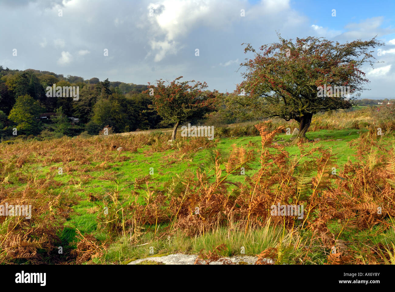 Belstone Common. Dartmoor National Park Stock Photo