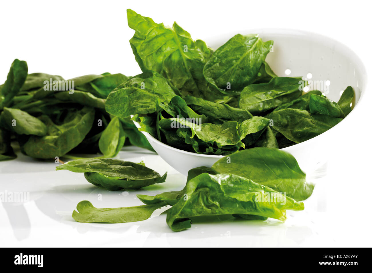 Fresh spinach leaves in strainer Stock Photo