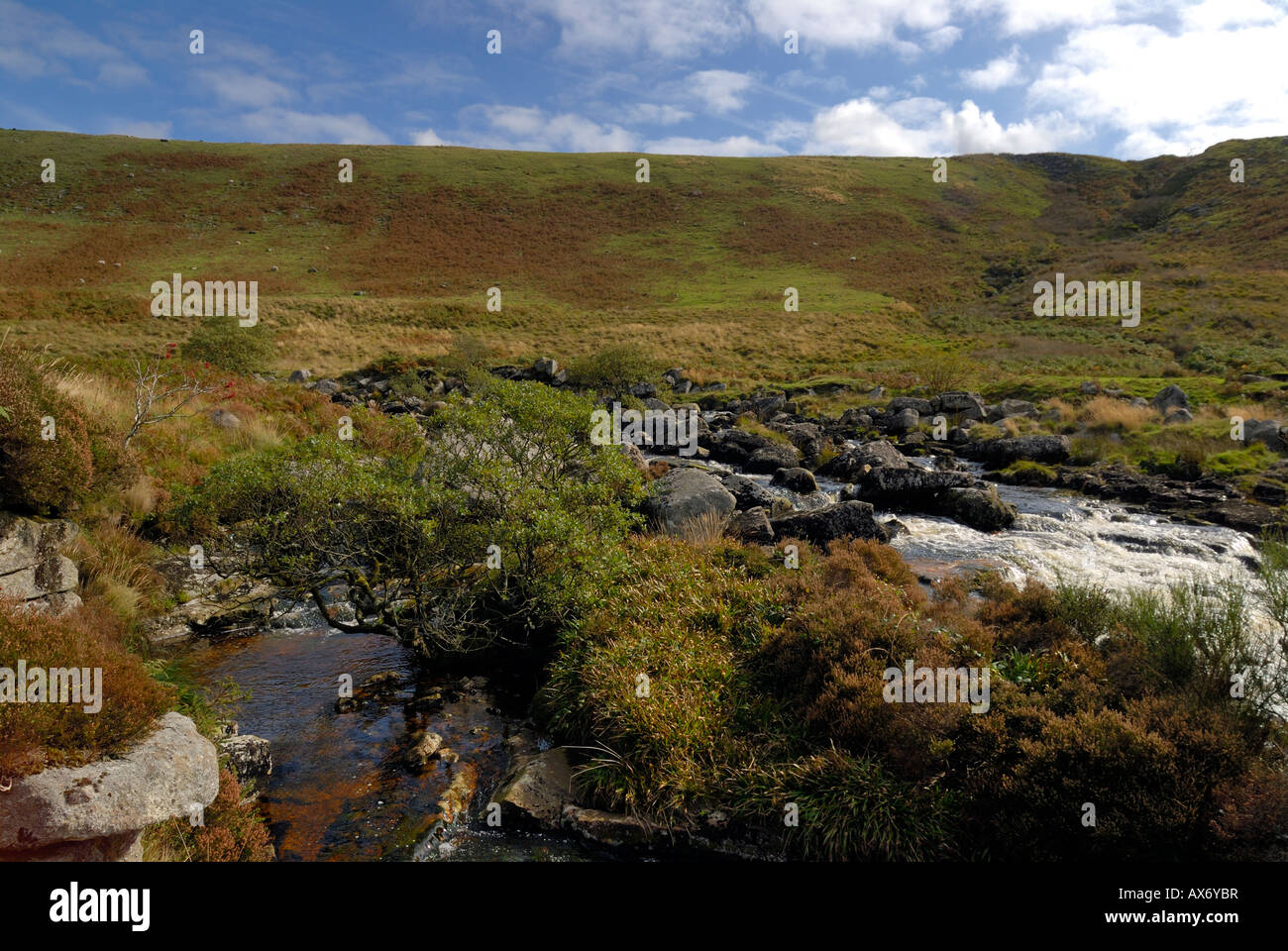 Willsworthy Ranges Tavy cleave hi-res stock photography and images - Alamy