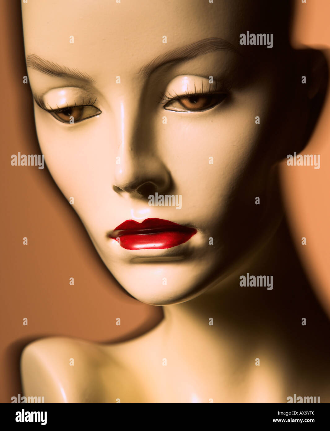 Female display mannequin head Stock Photo Alamy