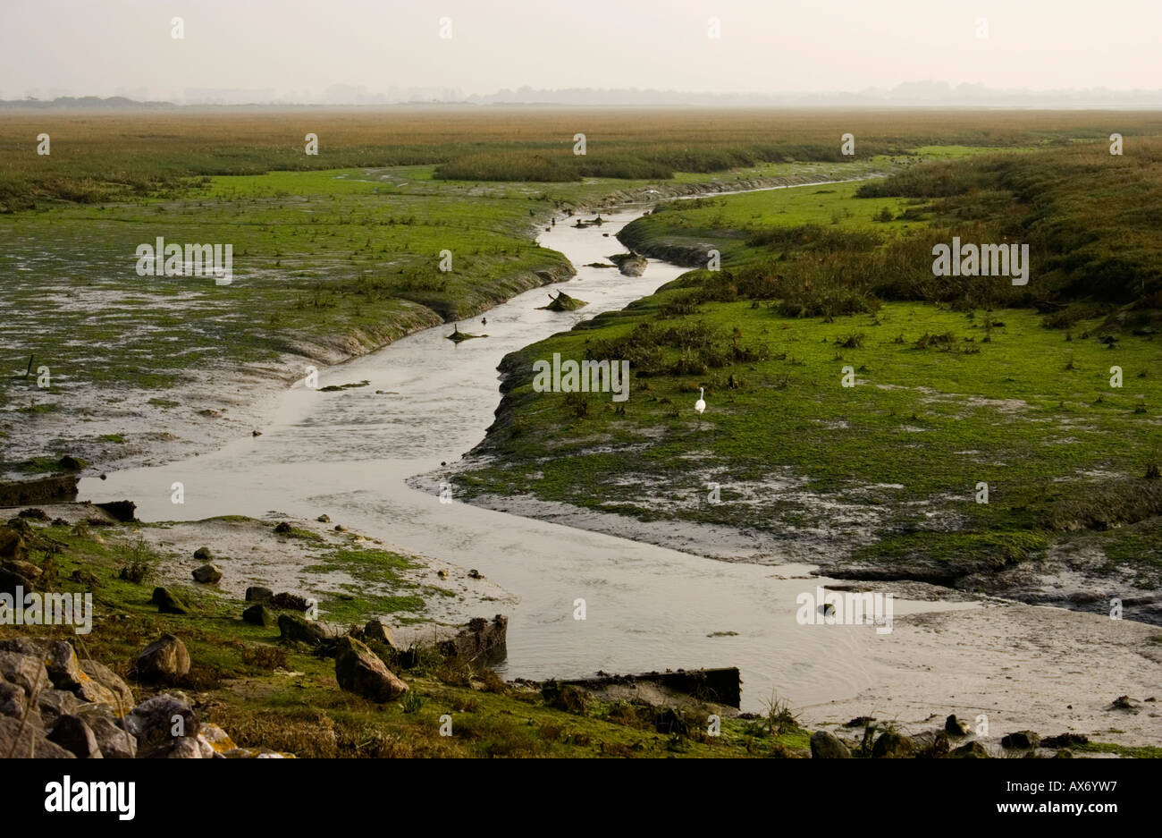 Pagham Harbour Local Nature Reserve, West Sussex, UK Stock Photo Alamy