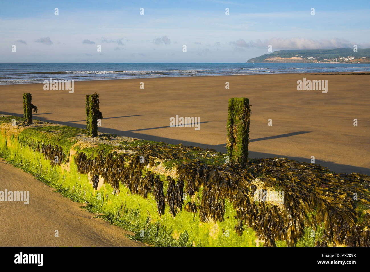 Golden sandy beach at Sandown on the south coast of the Isle of Wight Stock Photo