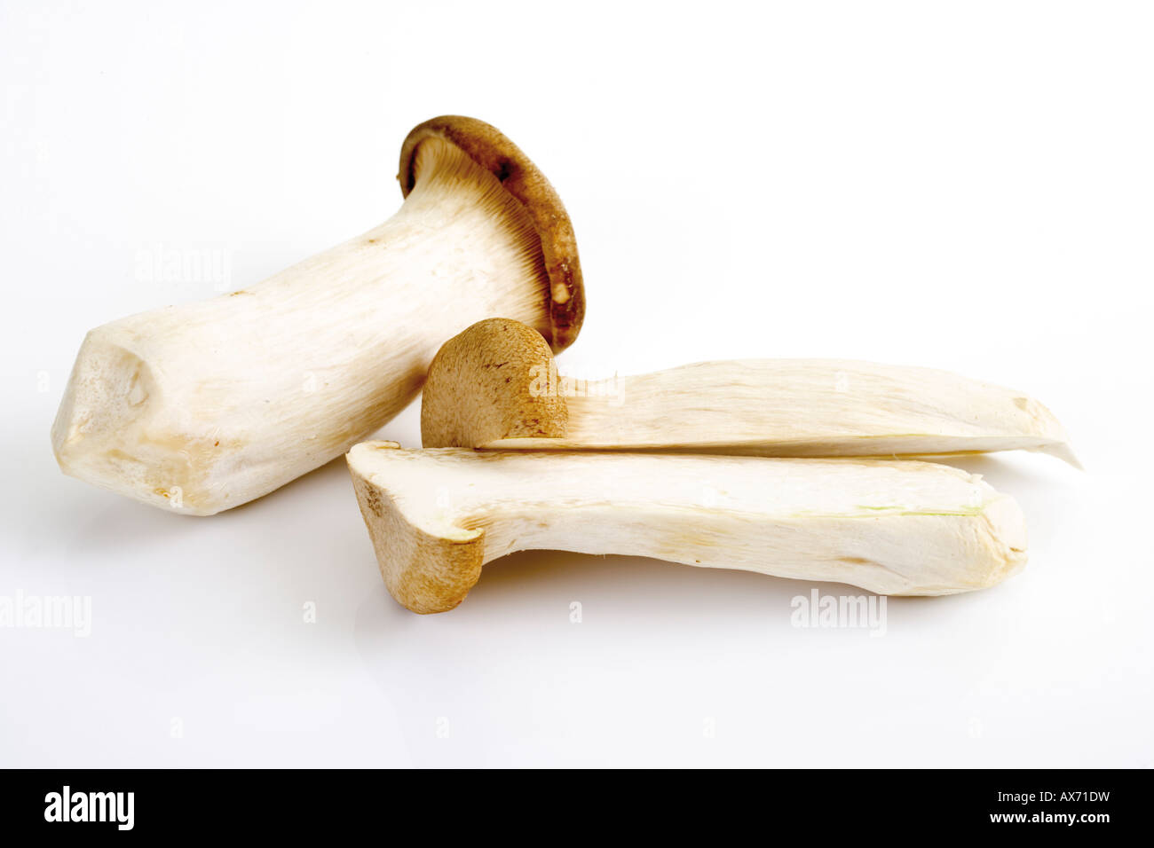 King trumpet mushrooms (Pleurotus eryngii) Stock Photo