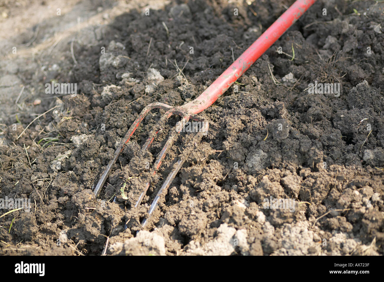 close up of fork on allotment London England UK GB Stock Photo