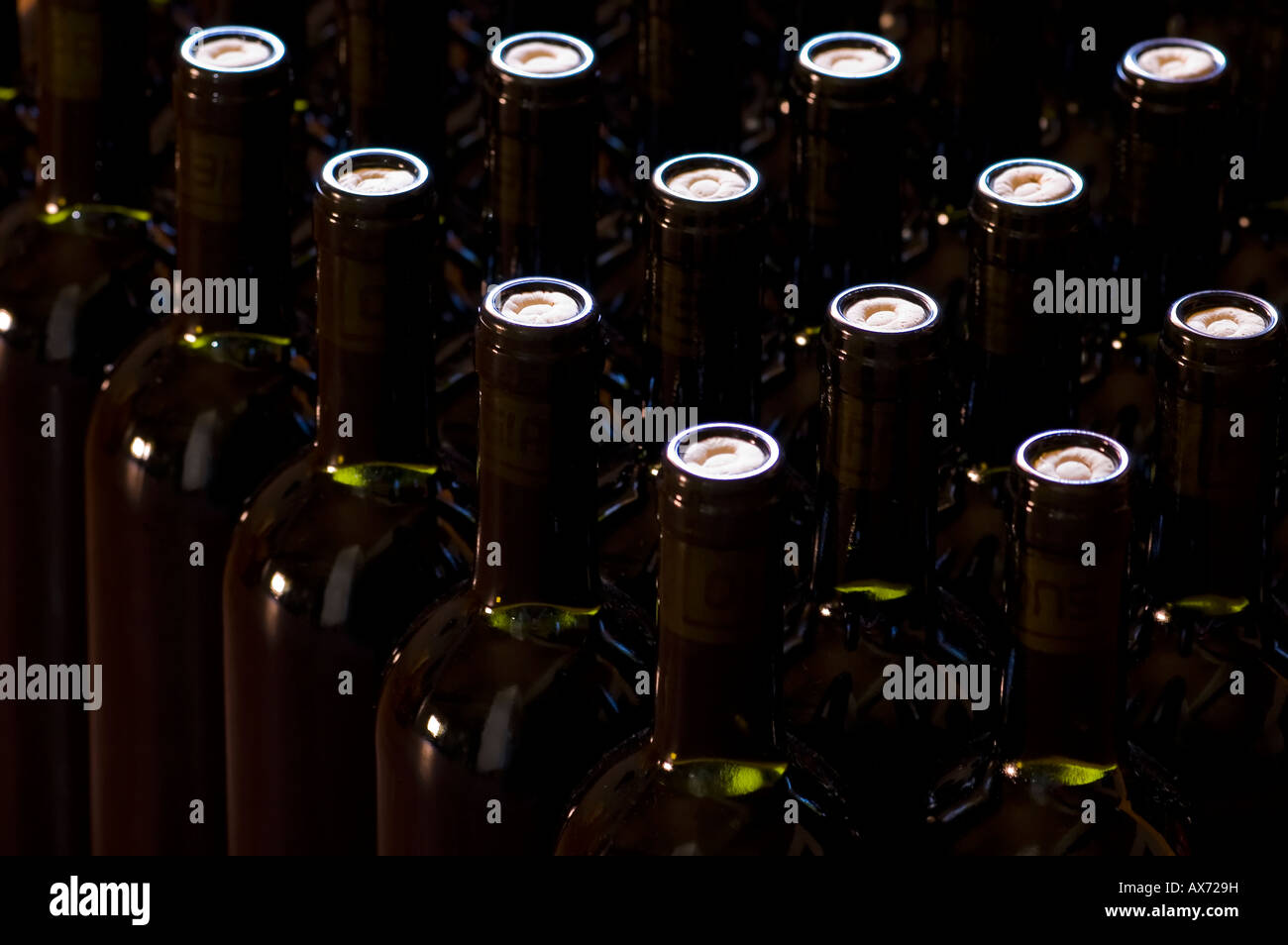 Detail of a serie of wine bottles Selective focus Winery serie Stock Photo