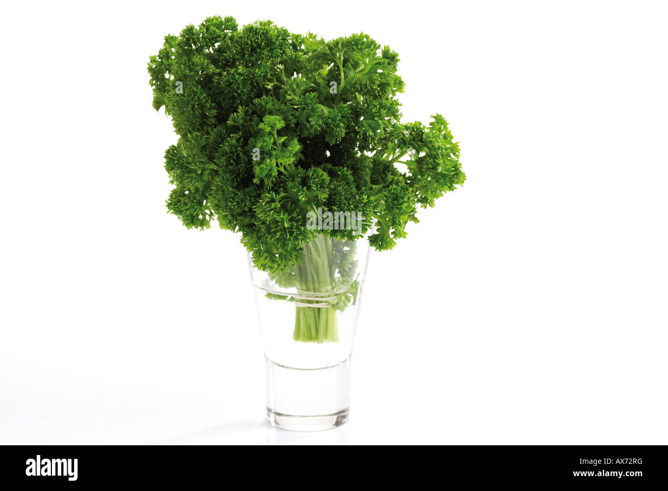 Curley parsley (Petroselinum crispum) in water glass Stock Photo