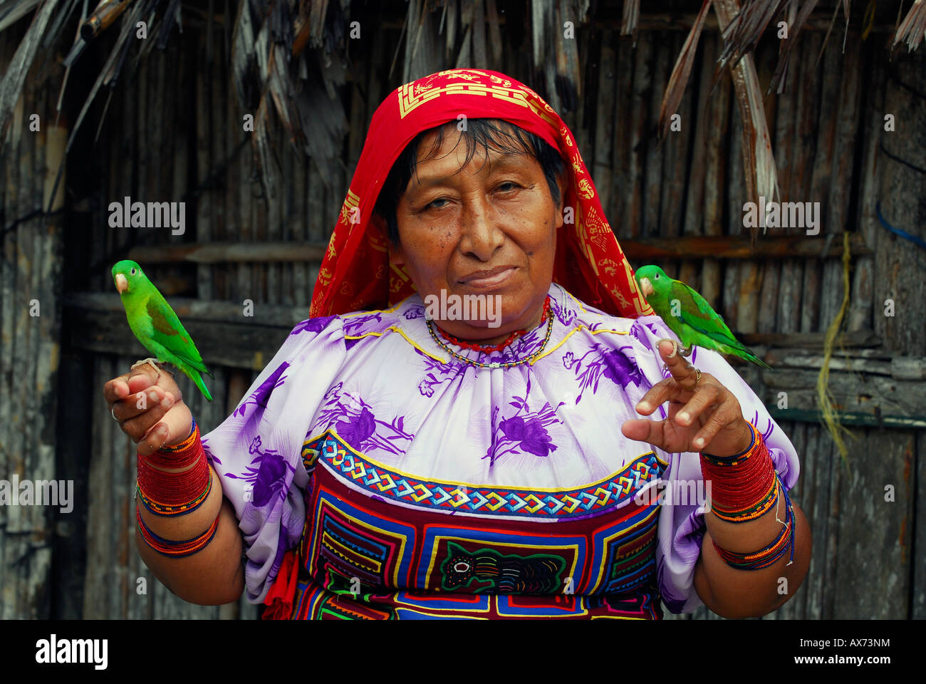 Kuna Indian, woman with two birds, San Blas Islands, Panama Stock Photo