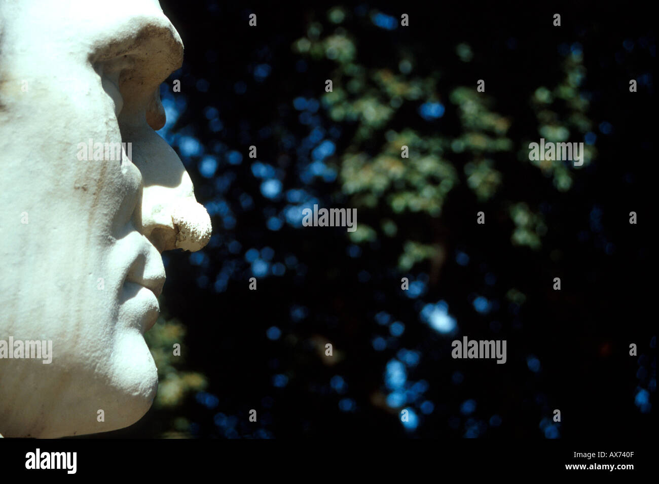 statue with broken nose villa rome Stock Photo Alamy