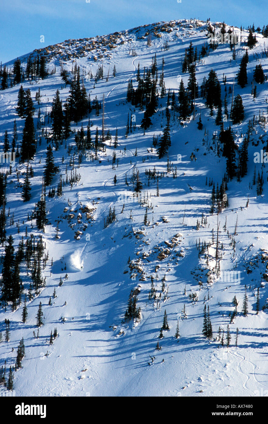 Brighton resort deals