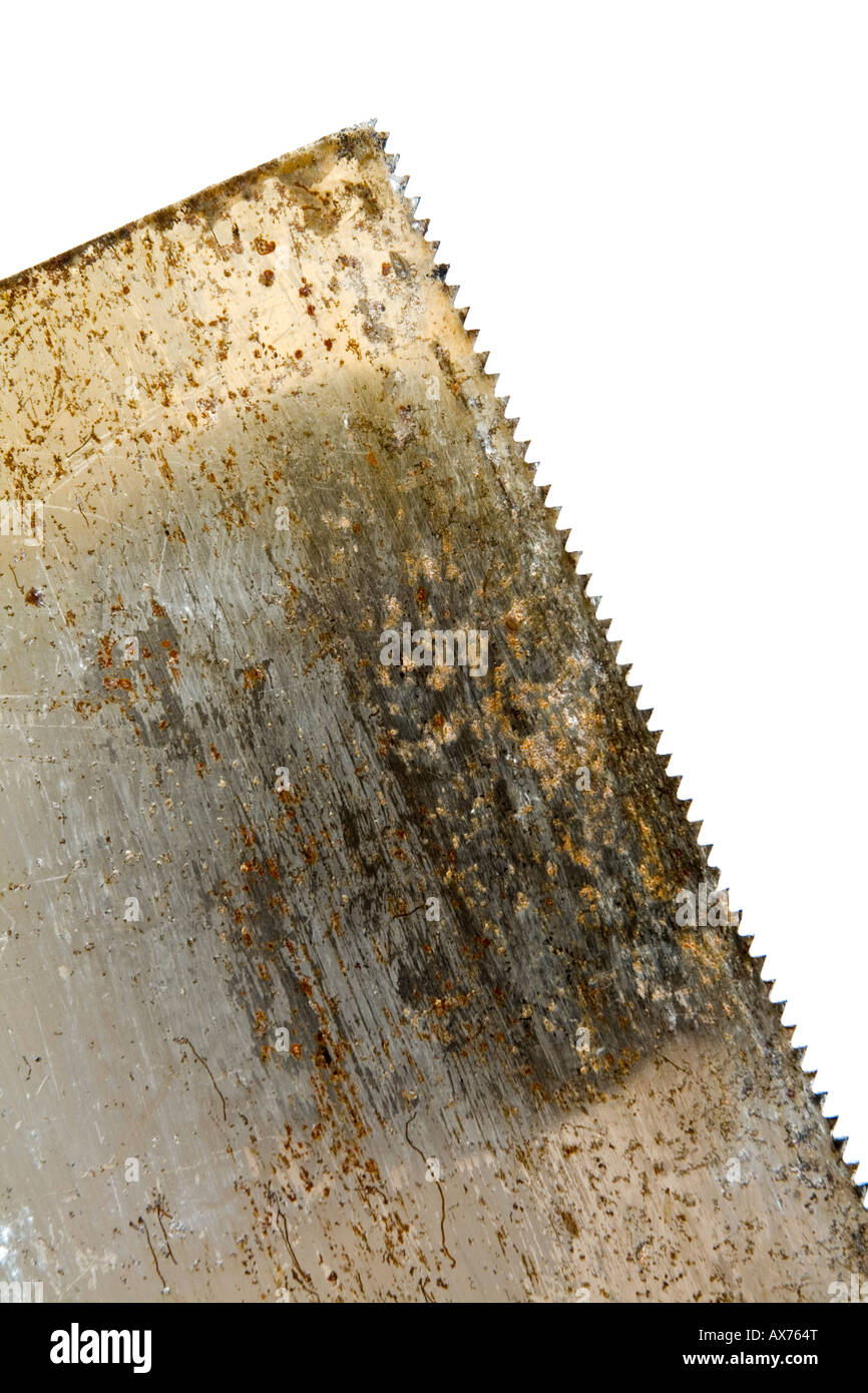 Close up view of blade and teeth of a wood saw Stock Photo
