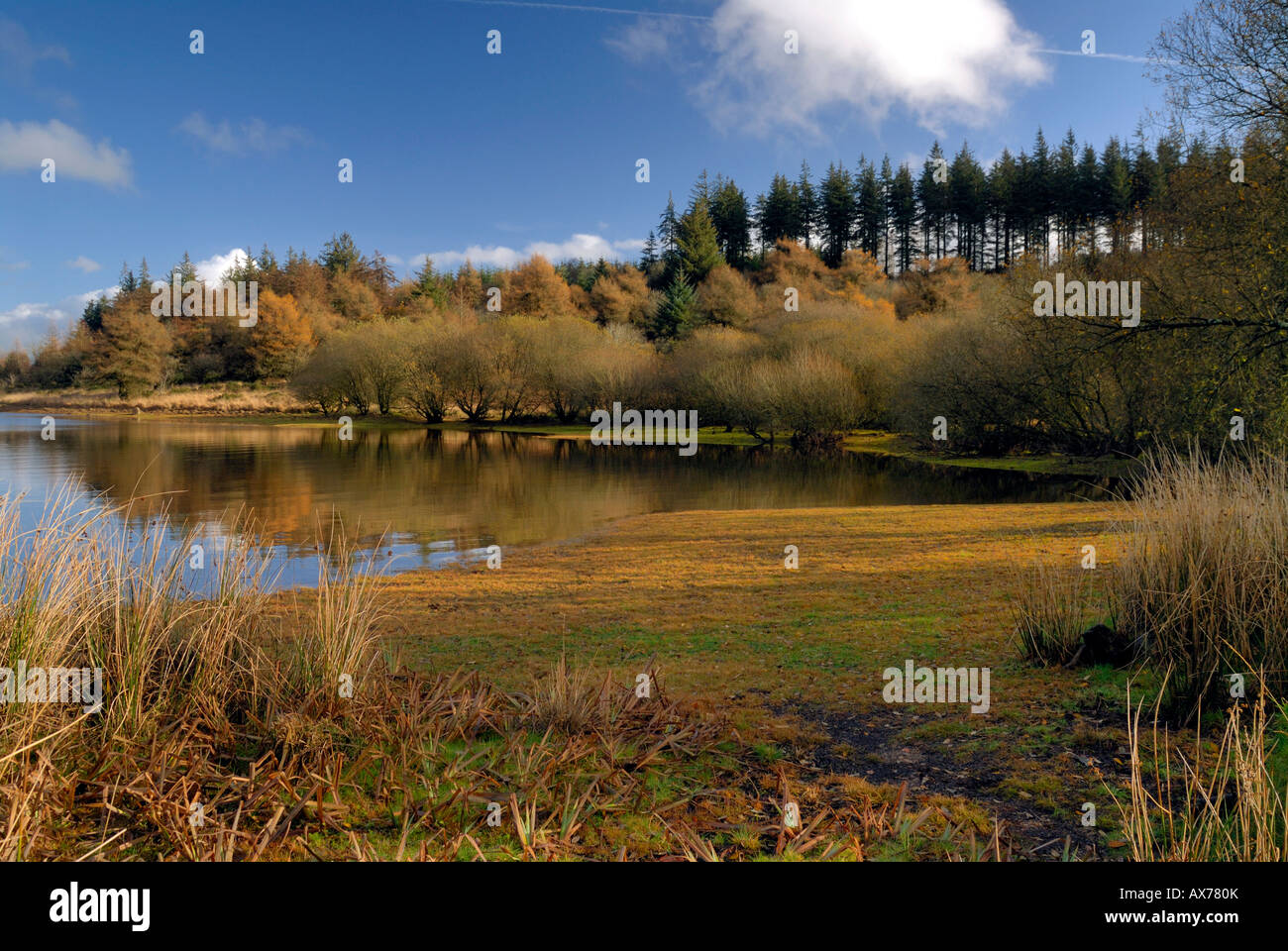 fernworthy-reservoir-hi-res-stock-photography-and-images-alamy