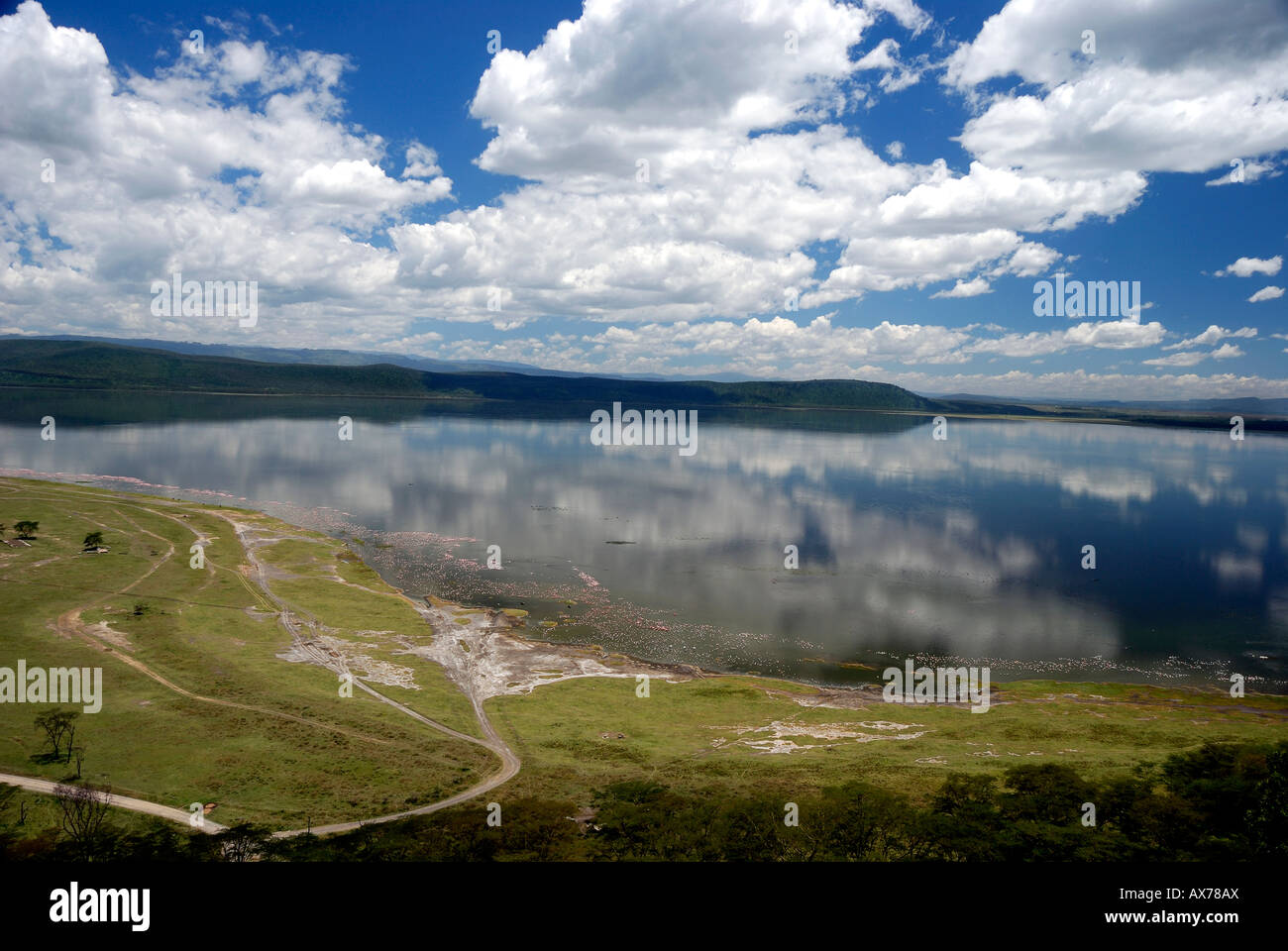 Lake Nakuru reflecting the clouds in the water with flamingoes and water buffalo along the shoreline Stock Photo
