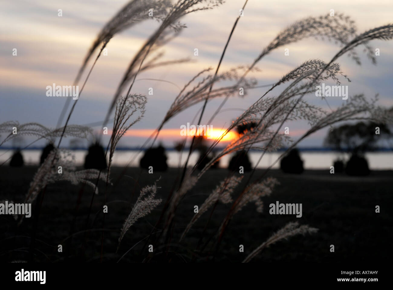 Lake Ray Hubbard Stock Photos Lake Ray Hubbard Stock Images Alamy