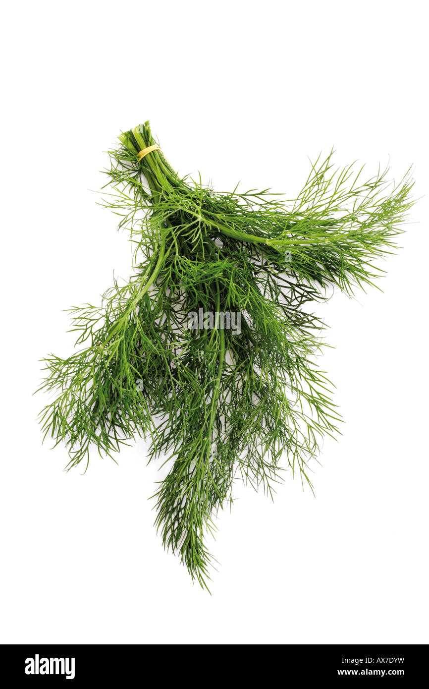 Simple dill hi-res stock photography and images - Alamy