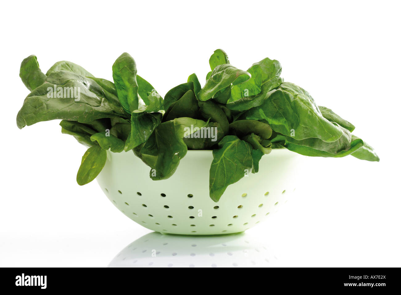 Fresh spinach leaves in strainer Stock Photo