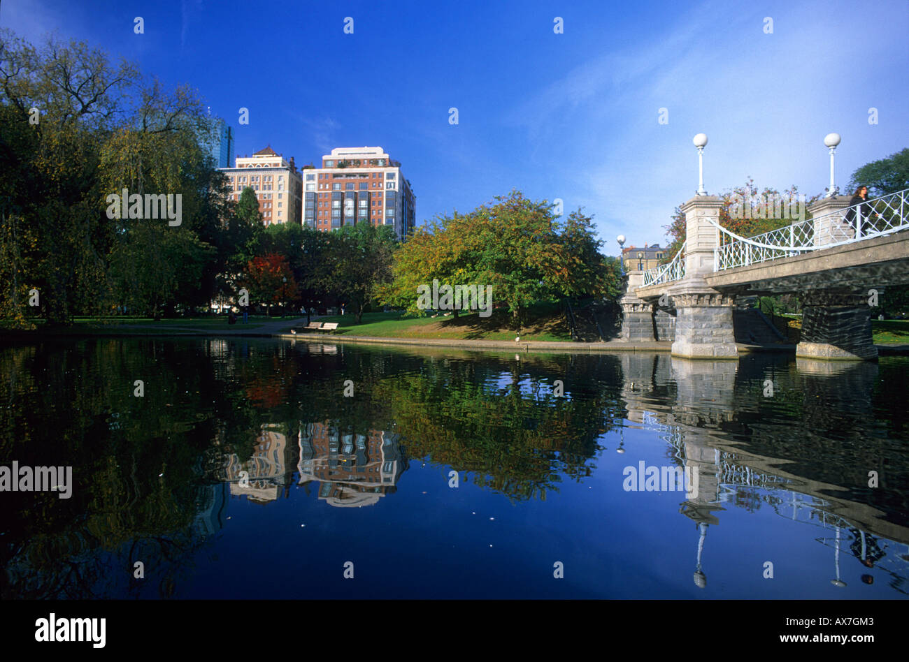 Lagoon at Public garden, Boston Massachusetts, USA Stock Photo