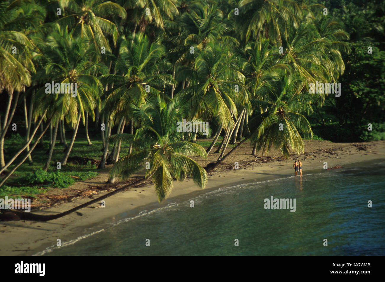Playa Anadel, Halbinsel Samana, Dominikanische Republik Karibik Stock Photo