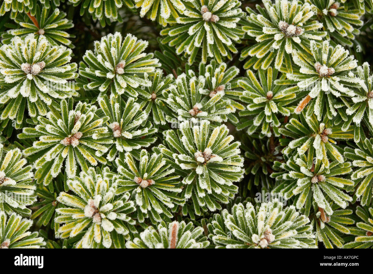 High view angle hi-res stock photography and images - Alamy