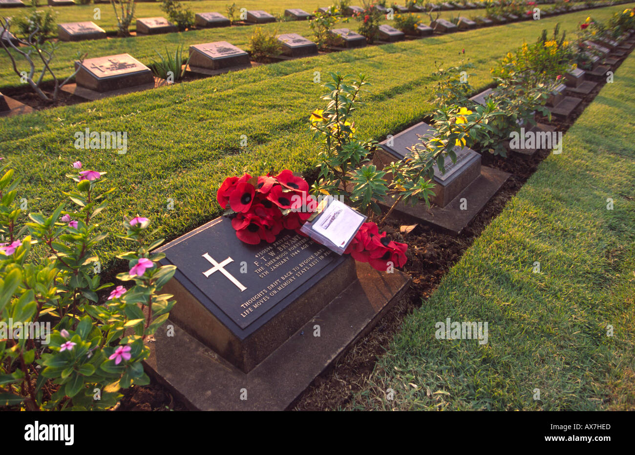 Cemetery for allied POW´s who died while building railway over the river Kwai. Kanchanaburri, Thailand. Stock Photo