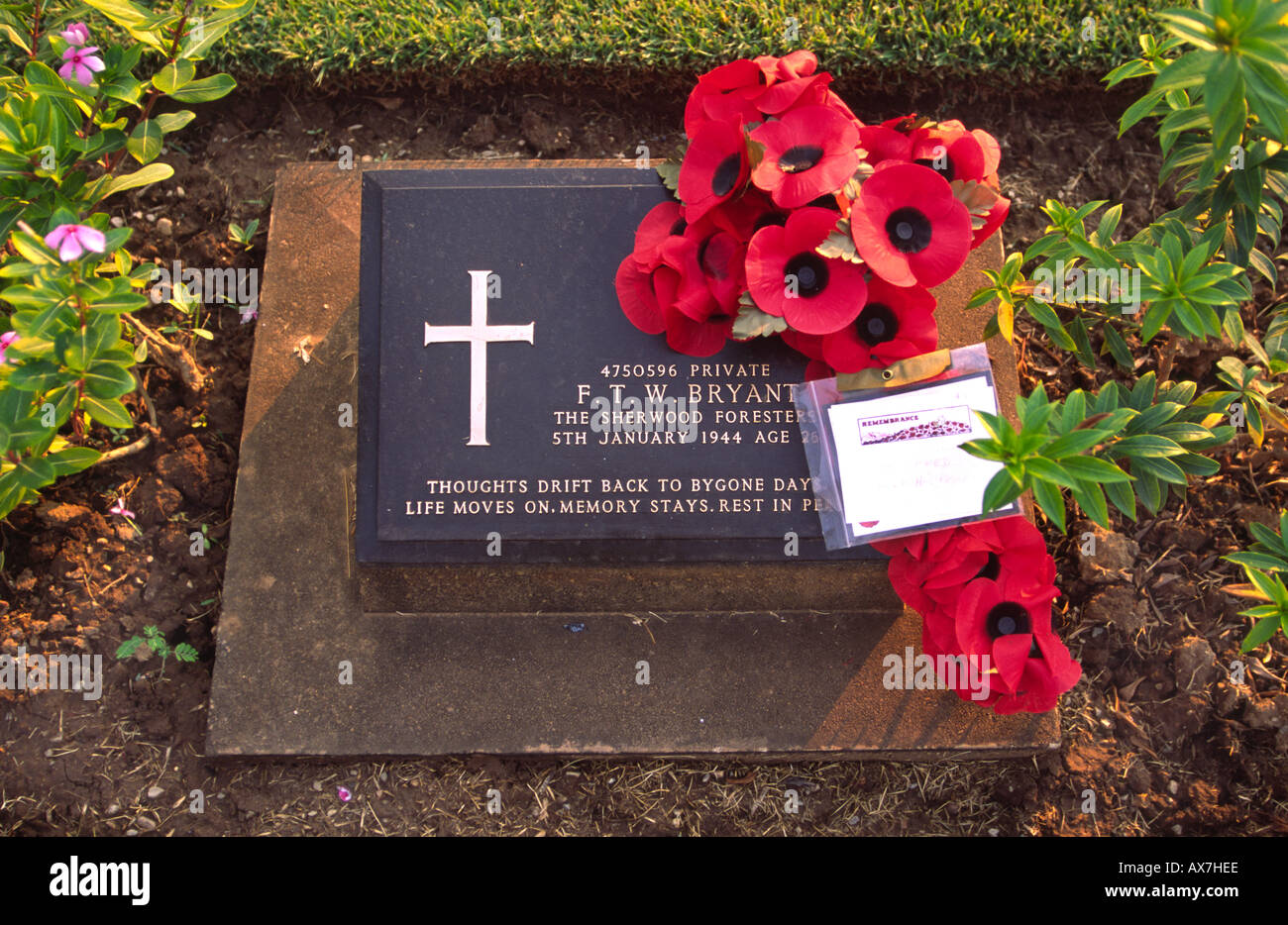Grave stone allied POW who died while building railway over the river Kwai. Kanchanaburri, Thailand. Stock Photo
