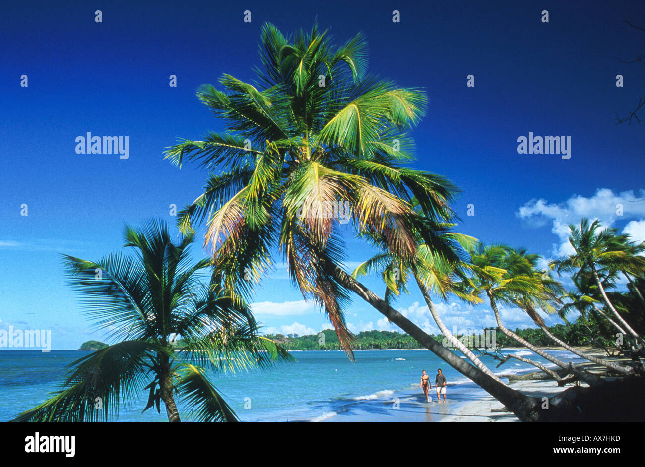 Las Terrenas, Halbinsel Samana, Dominikanische Republik Karibik Stock Photo