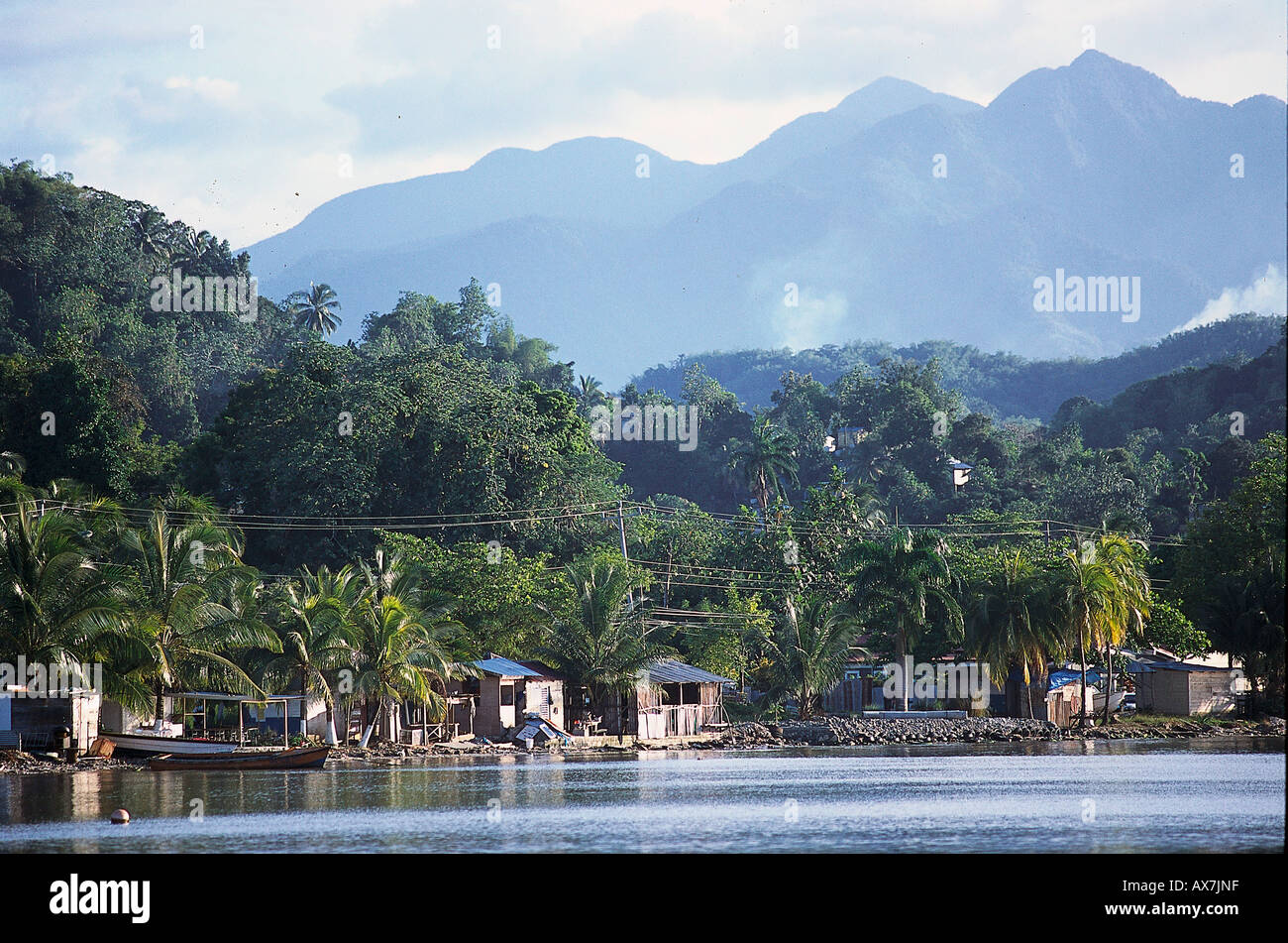 Fishing village and palm trees on shore, Port Antonio, Portland