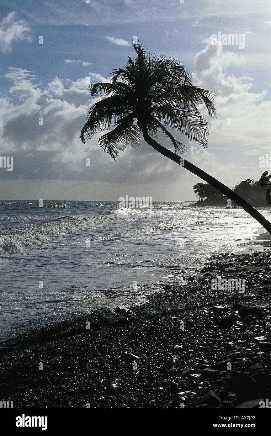 Strand bei Yallahs, St. Thomas Jamaika, Karibik Stock Photo Alamy