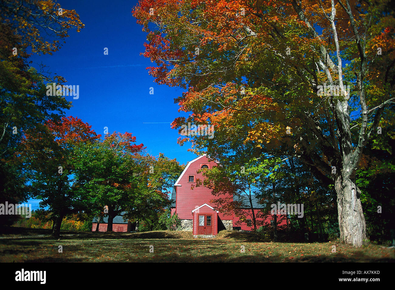 Scheune, Franklin, Hancock, Maine USA Stock Photo