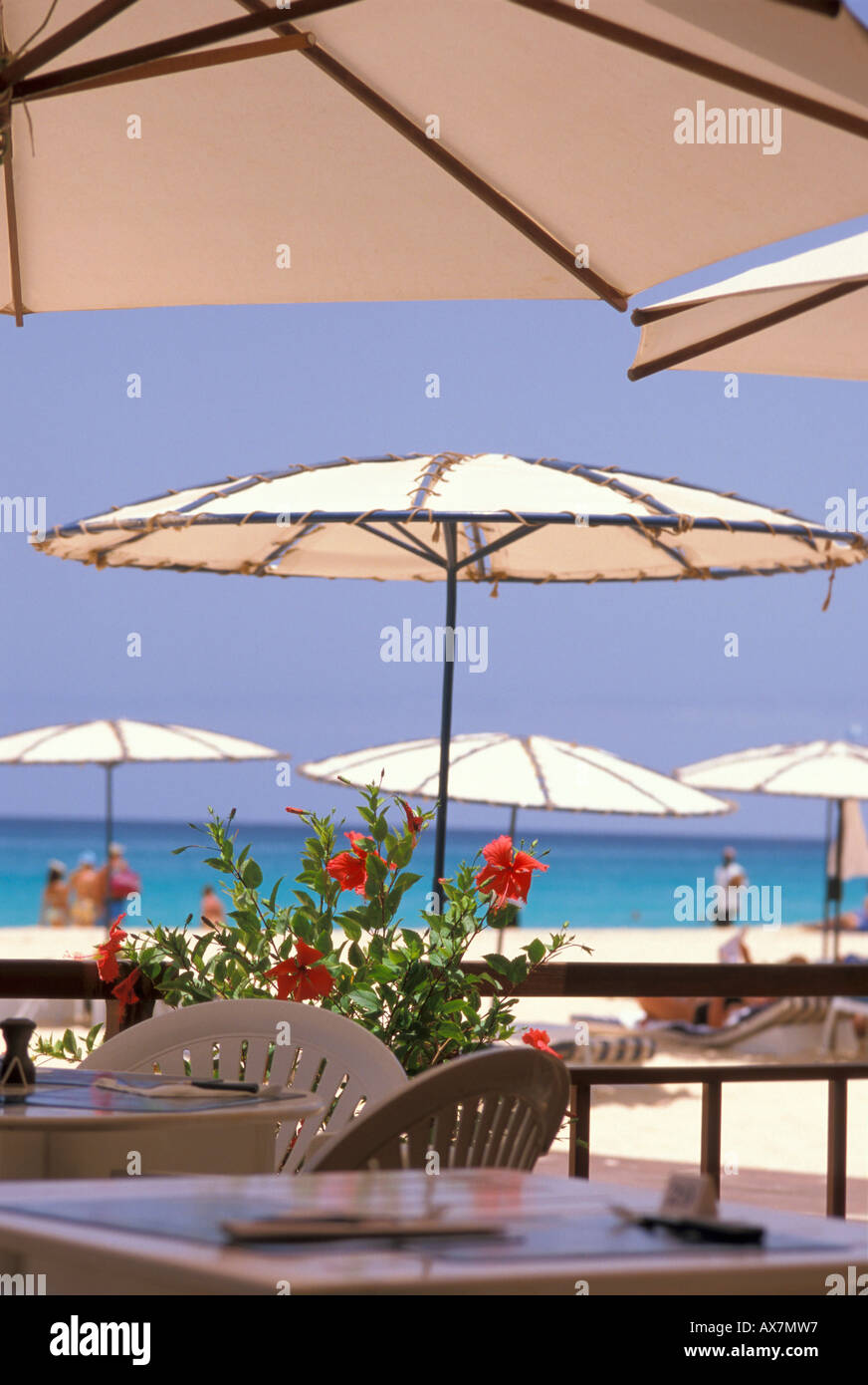 Beach bar at beach of Santa Maria, Sal, Cape Verde Islands, Africa Stock Photo