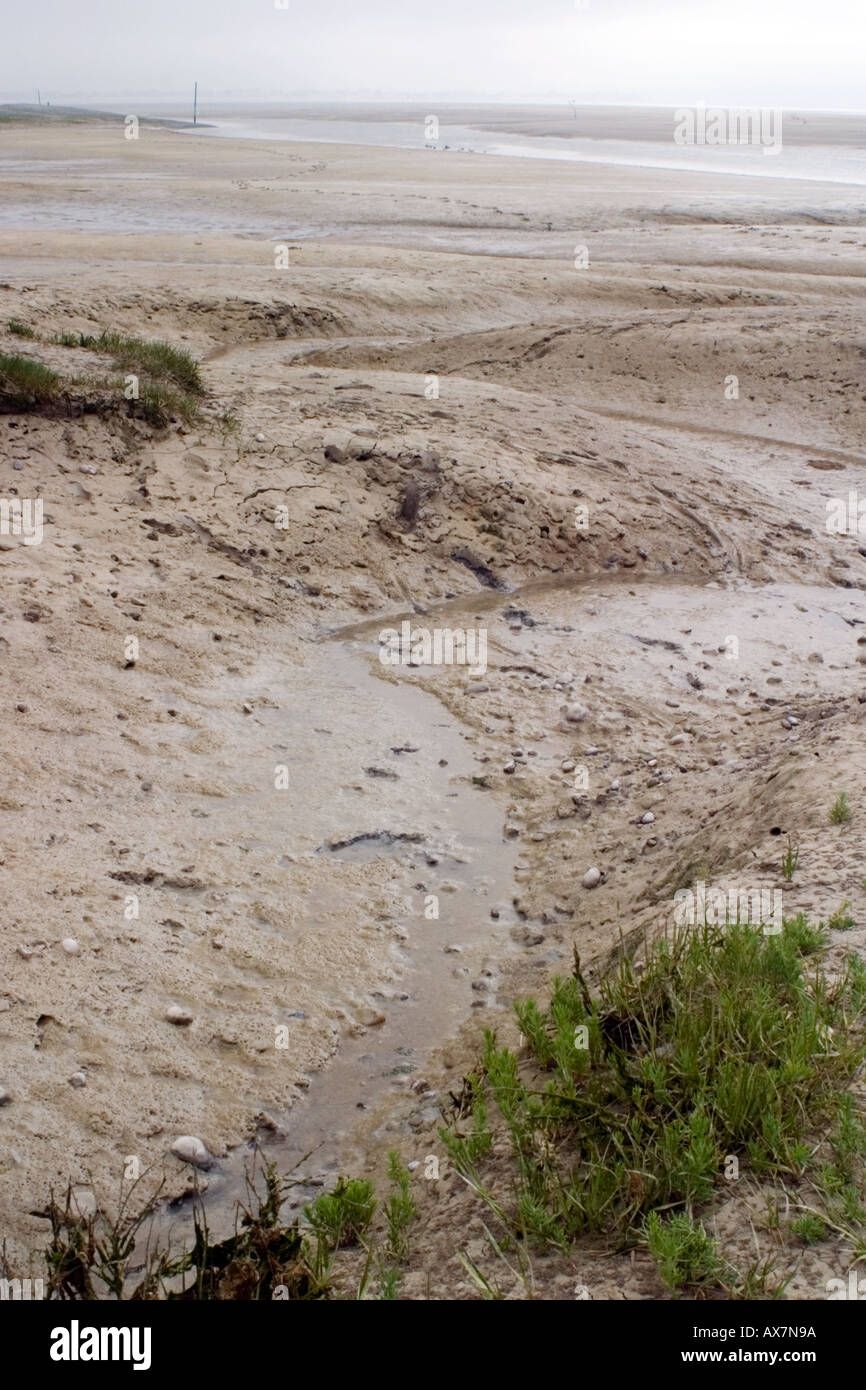 Mud flats at Le Hourdel at low tide Stock Photo Alamy