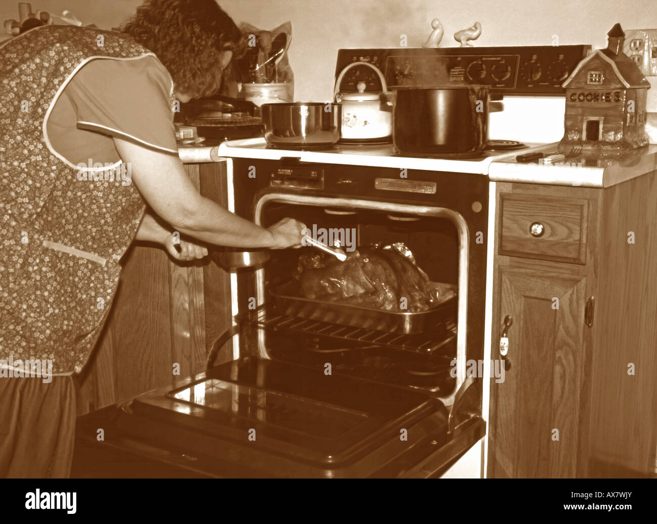 Homemaker basting a golden brown turkey, as she cooks dinner on Thanksgiving day for her family, that will soon arrive. Stock Photo