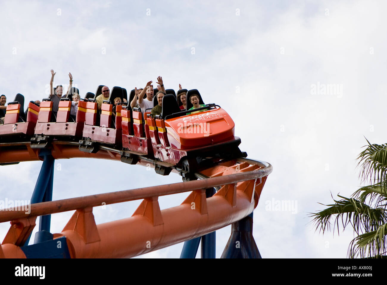 Scorpion Roller Coaster At Busch Gardens Tampa Florida Usa Fl U S