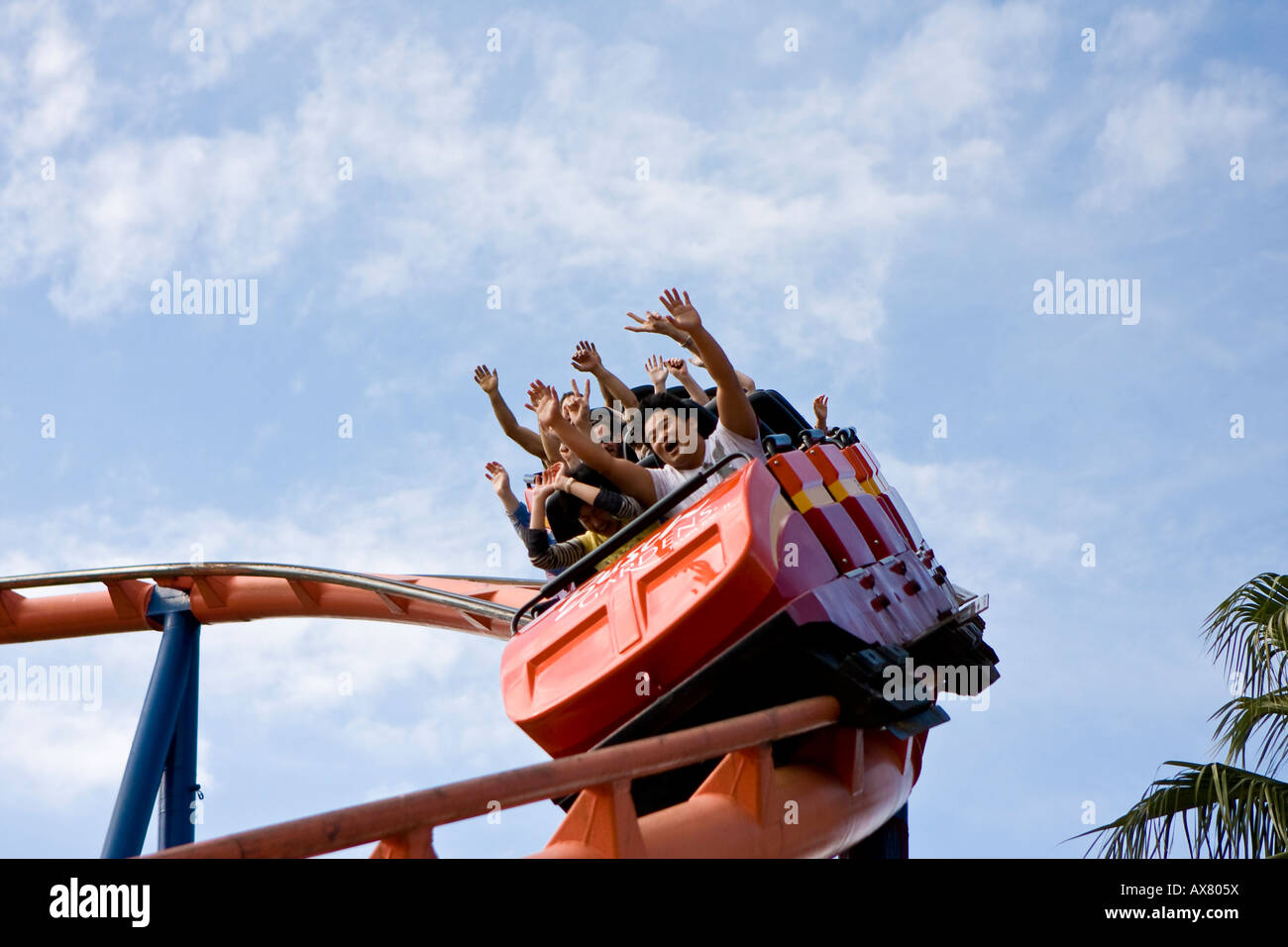 Scorpion Roller Coaster At Busch Gardens Tampa Florida Usa Fl U S