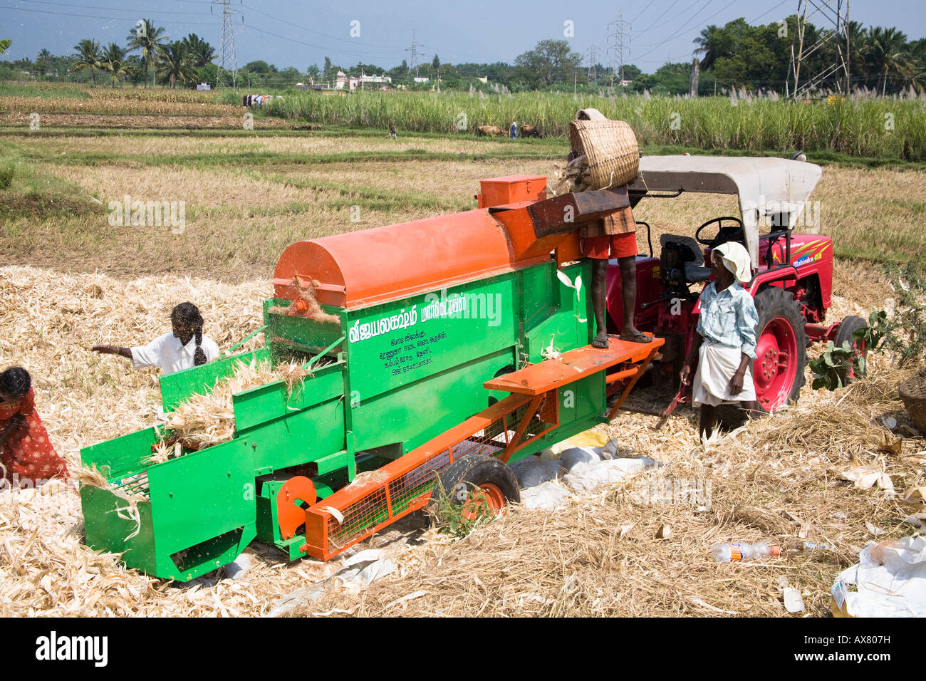 Farm labourers processing corn cobs on a type of threshing machine to remove leaves, Tamil Nadu, India Stock Photo