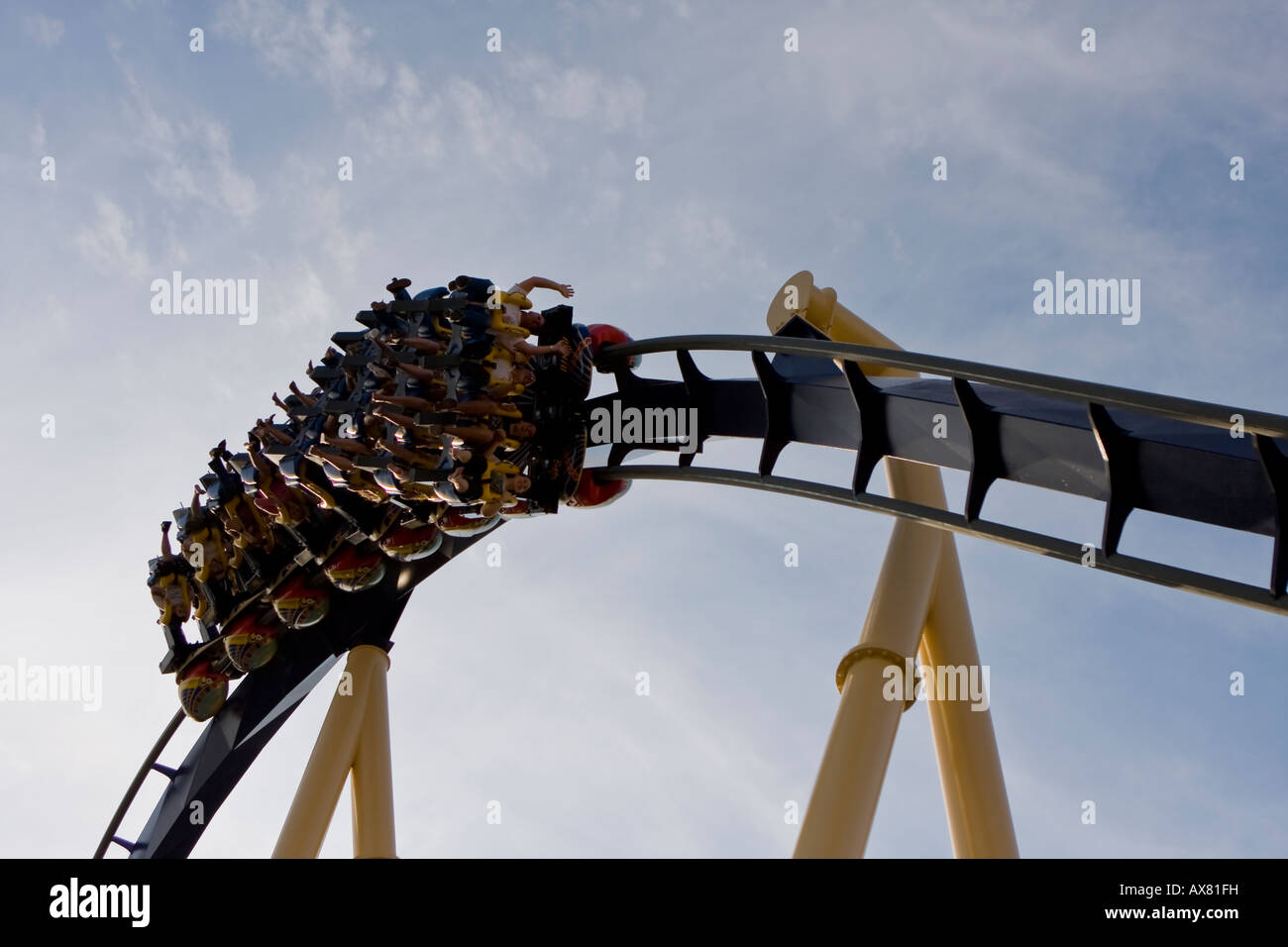 Montu Roller Coaster POV at Busch Gardens Tampa