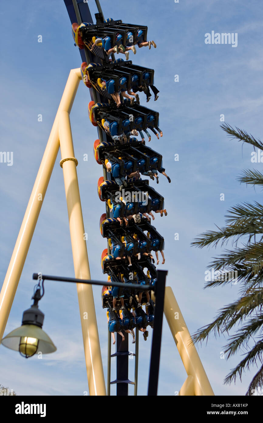 Montu roller coaster busch gardens hi-res stock photography and images ...