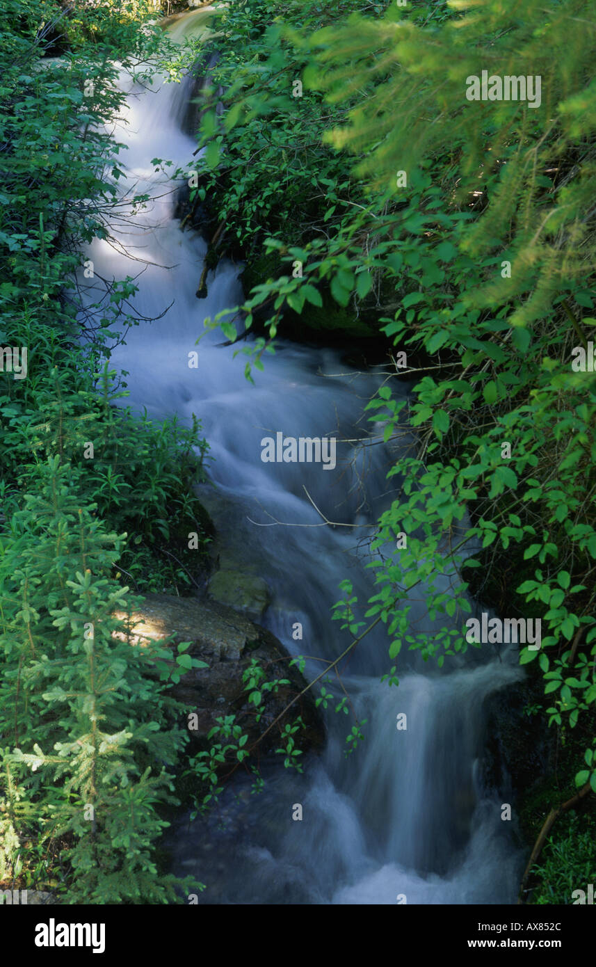Slate Creek Idaho USA Stock Photo Alamy
