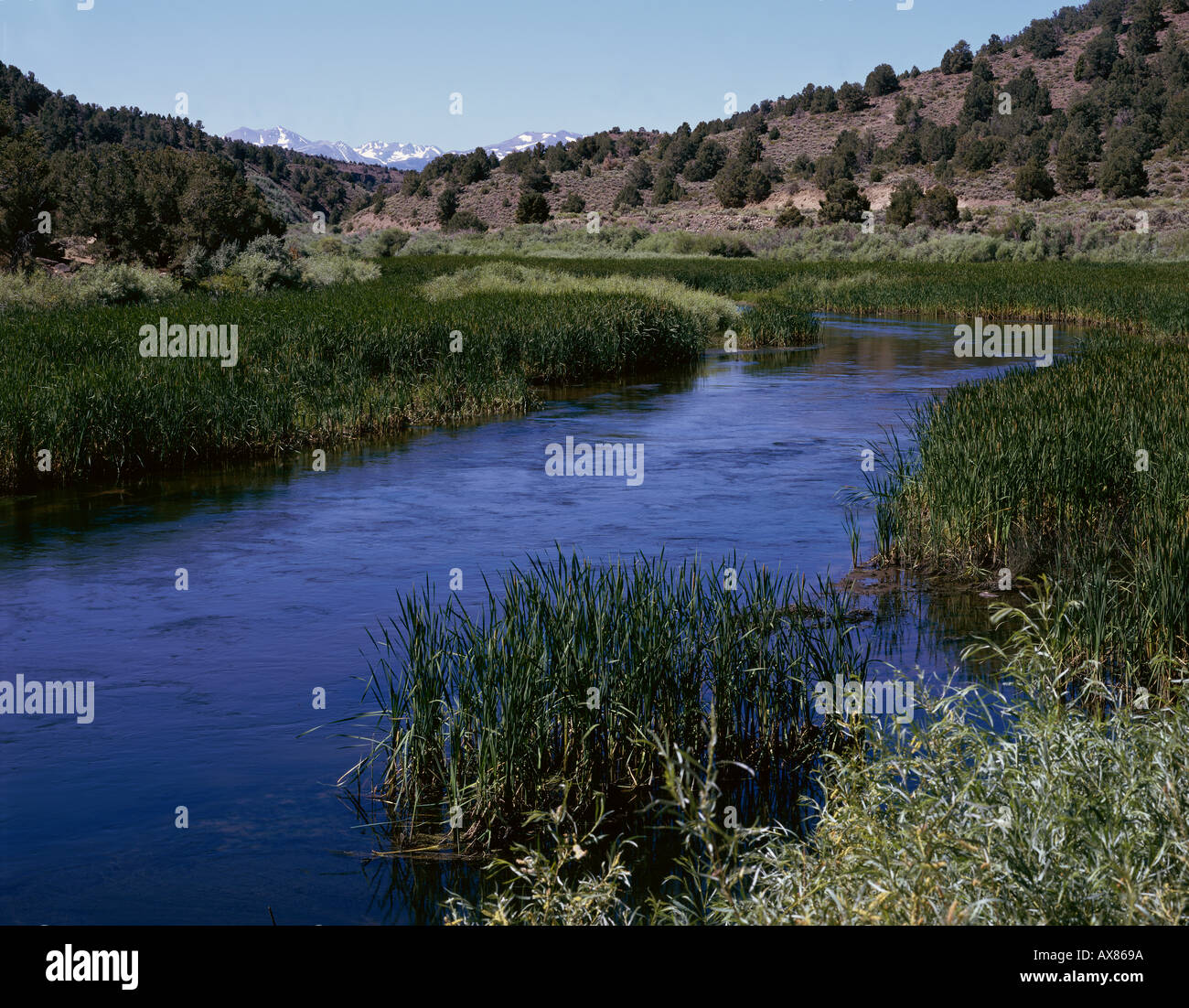 My Image 22